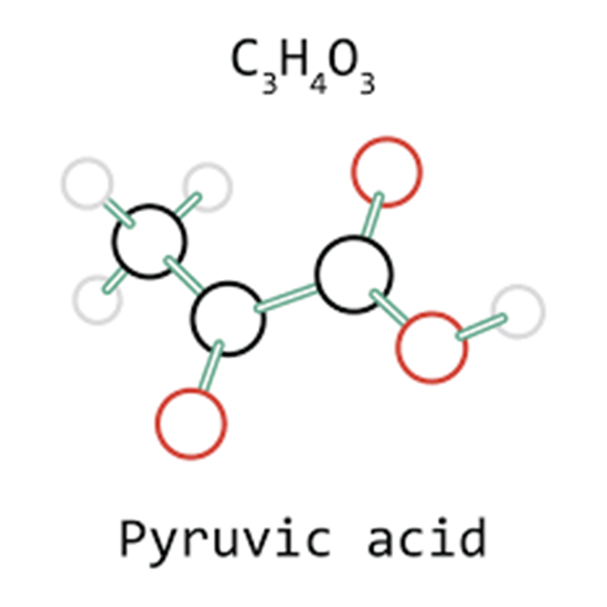 pyruvate; pyruvic acid test
